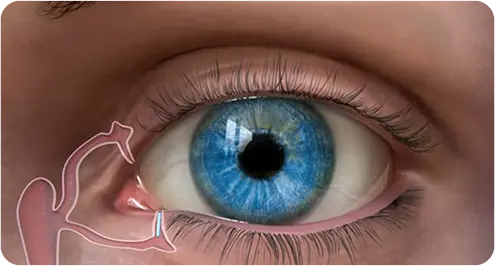 Lacrimal System