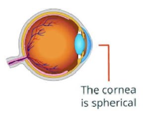Ocular Nutrients